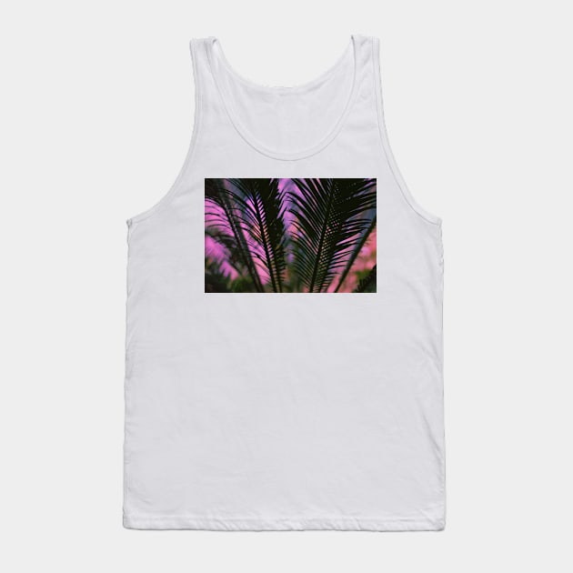 Pink Sunset Palm Leaf Tank Top by NewburyBoutique